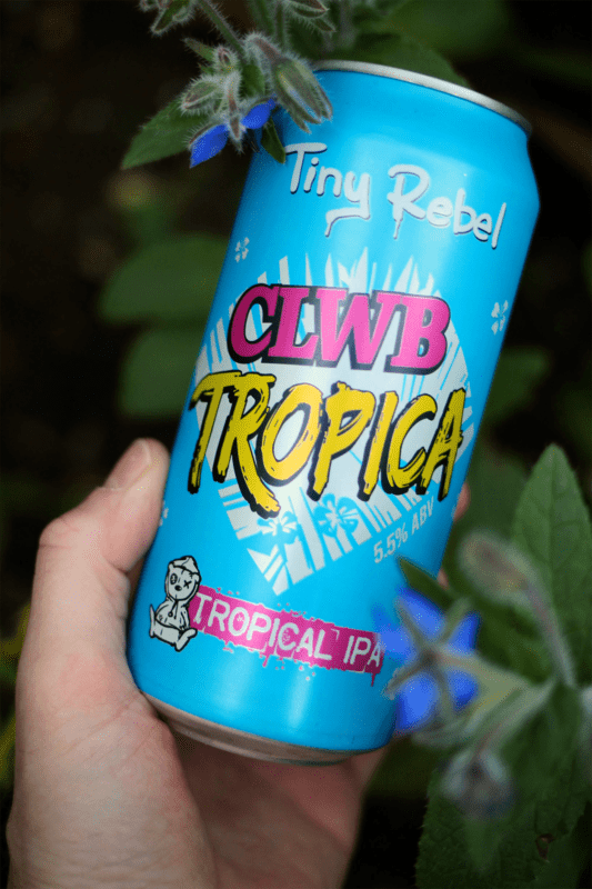 Beer: Tiny Rebel - Clwb Tropica, Lager by IPAokay
