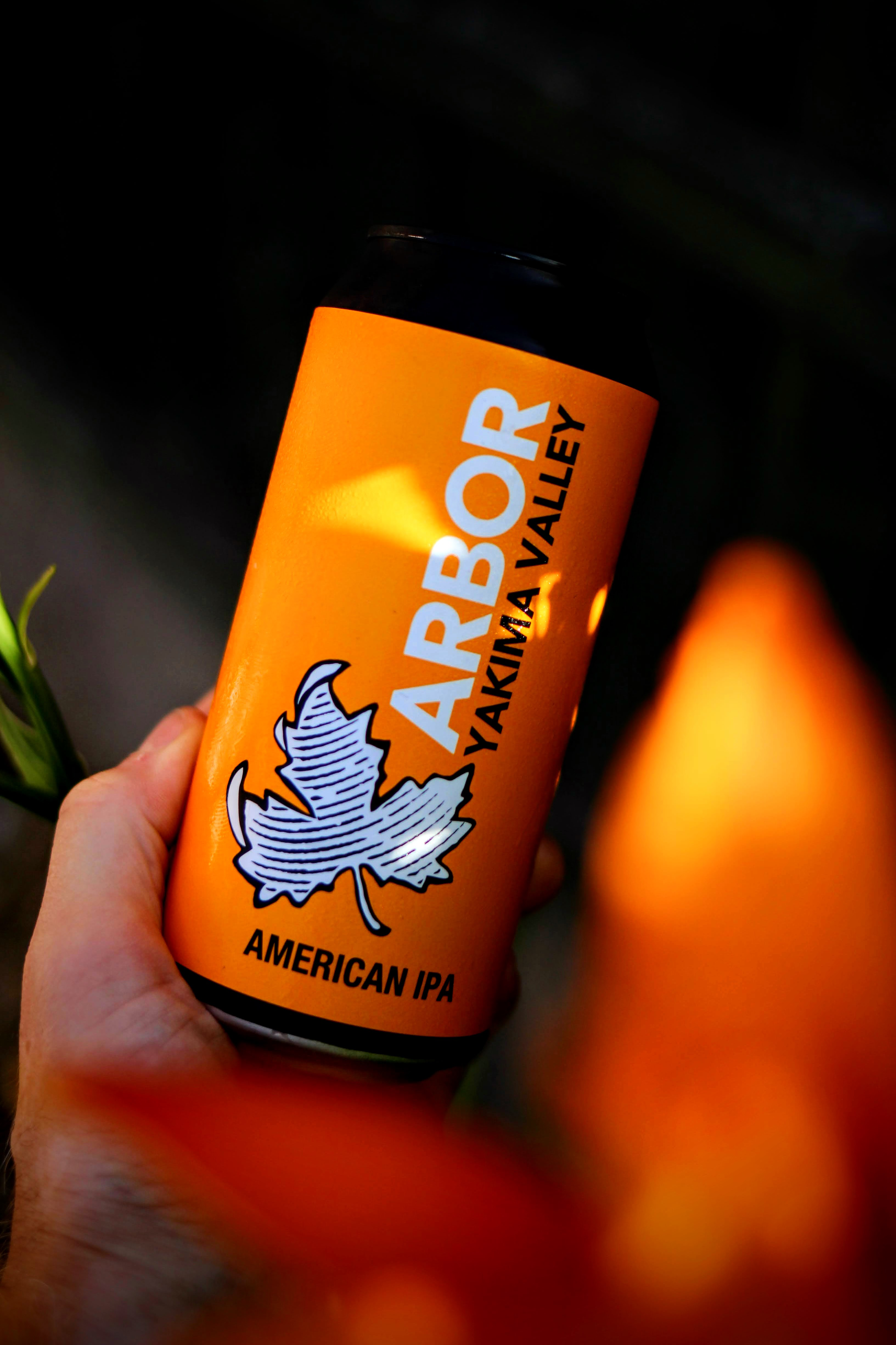 Beer: Arbor Ales - Yakima Valley, American IPA (AIPA) by IPAokay